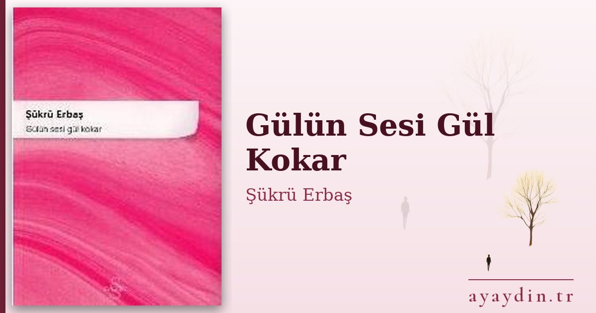 Gülün Sesi Gül Kokar - Şükrü Erbaş kitap alıntıları ve sözleri