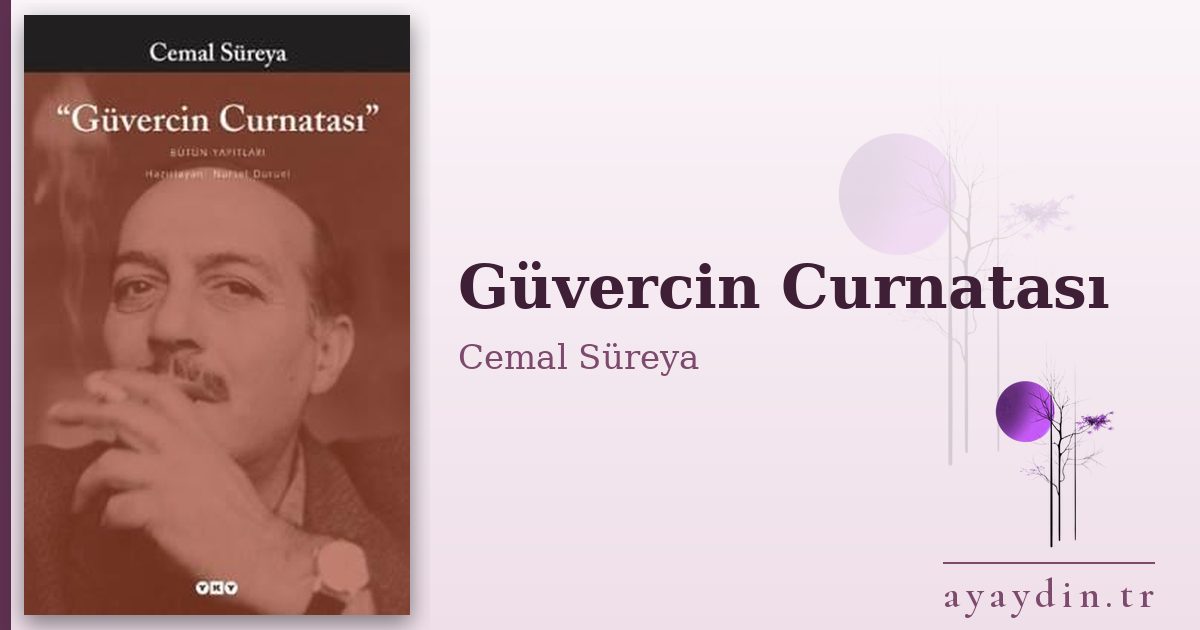 Güvercin Curnatası - Cemal Süreya kitap alıntıları ve sözleri