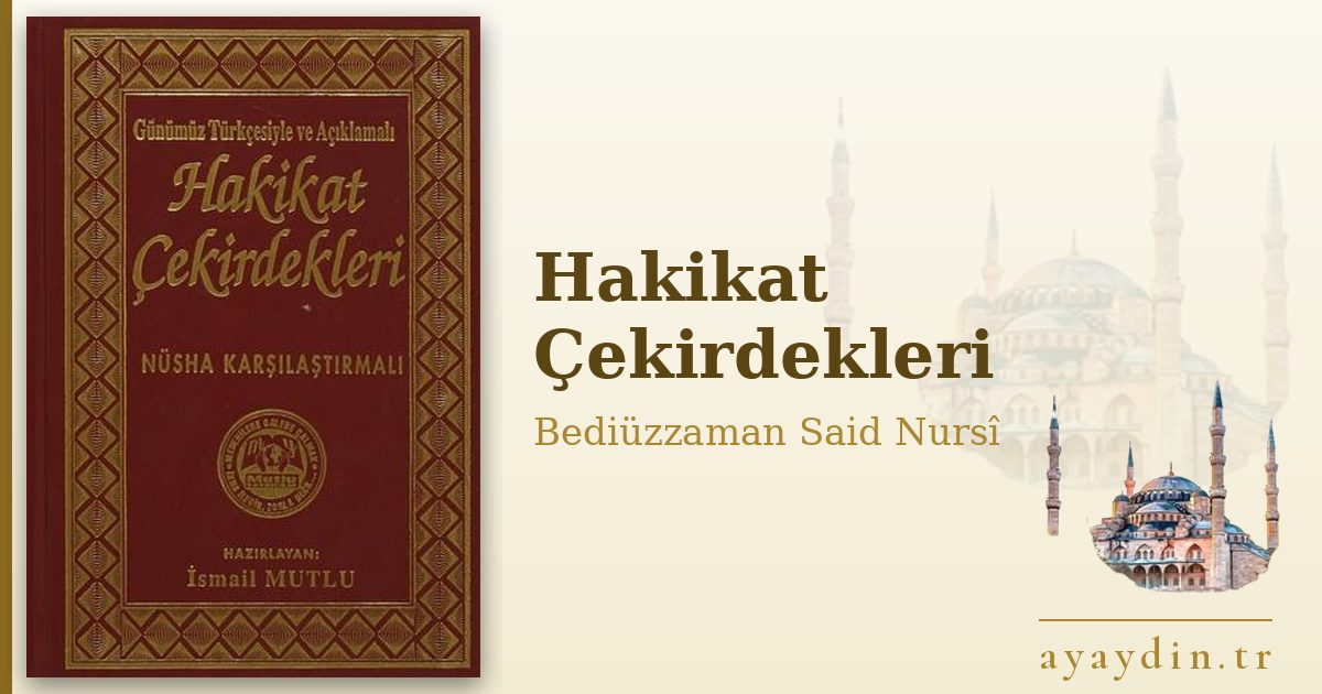 Hakikat Çekirdekleri - Bediüzzaman Said Nursî kitap alıntıları ve sözleri