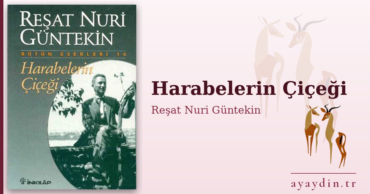 Harabelerin Çiçeği - Reşat Nuri Güntekin kitap alıntıları ve sözleri