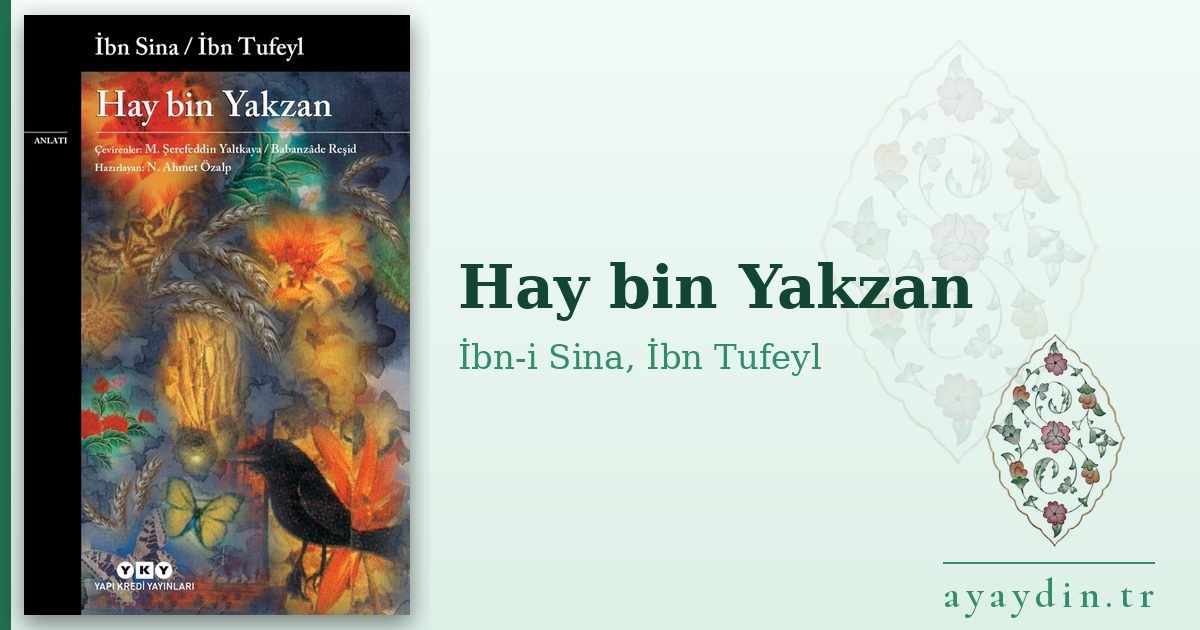 Hay bin Yakzan - İbn-i Sina, İbn Tufeyl kitap alıntıları ve sözleri