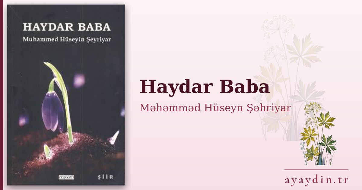 Haydar Baba - Məhəmməd Hüseyn Şəhriyar kitap alıntıları ve sözleri