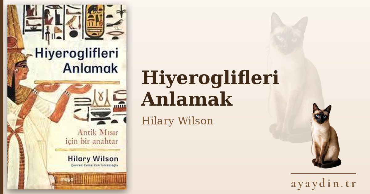 Hiyeroglifleri Anlamak - Hilary Wilson kitap alıntıları ve sözleri