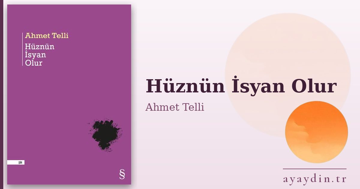 Hüznün İsyan Olur - Ahmet Telli kitap alıntıları ve sözleri