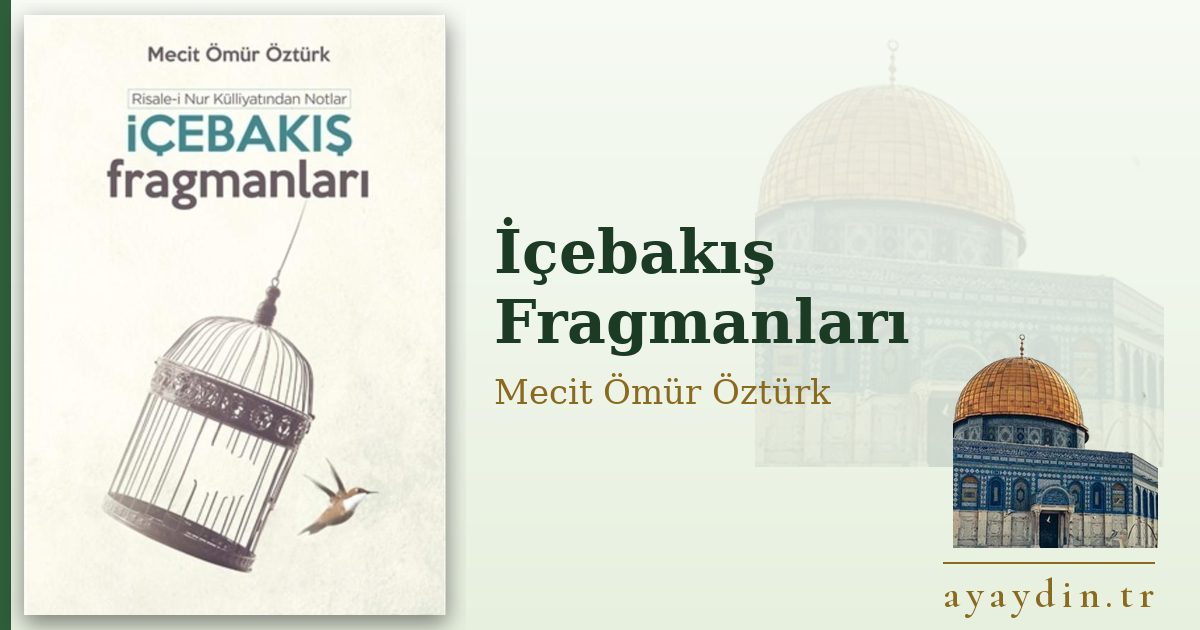 İçebakış Fragmanları - Mecit Ömür Öztürk kitap alıntıları ve sözleri