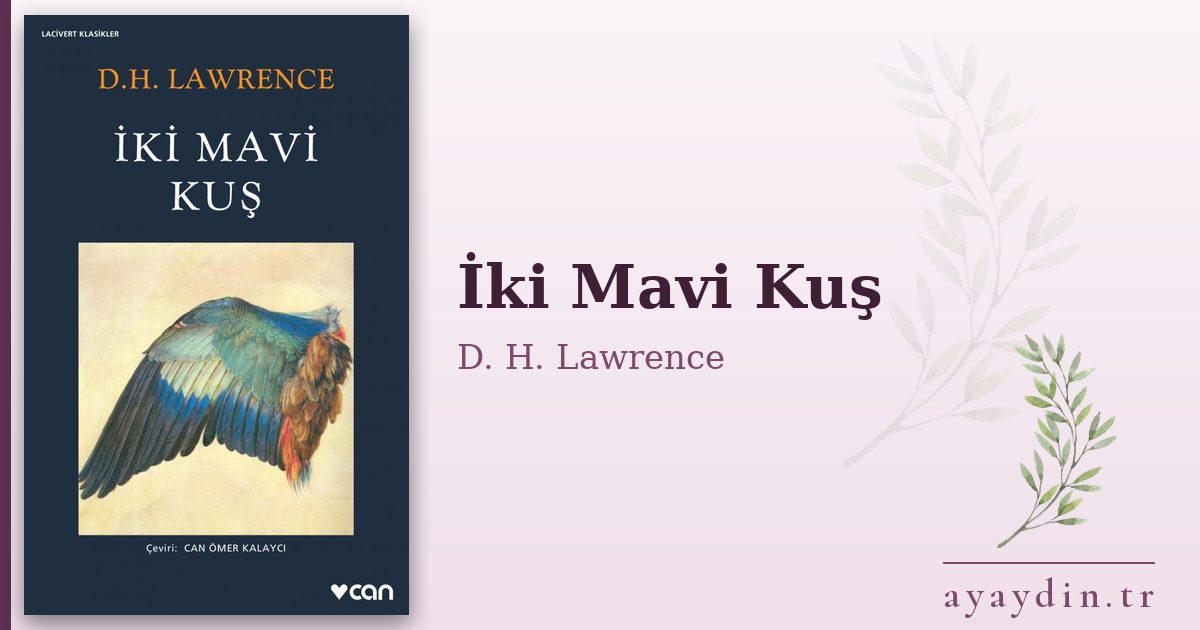 İki Mavi Kuş - D. H. Lawrence kitap alıntıları ve sözleri