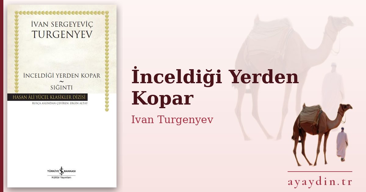 İnceldiği Yerden Kopar - Ivan Turgenyev kitap alıntıları ve sözleri