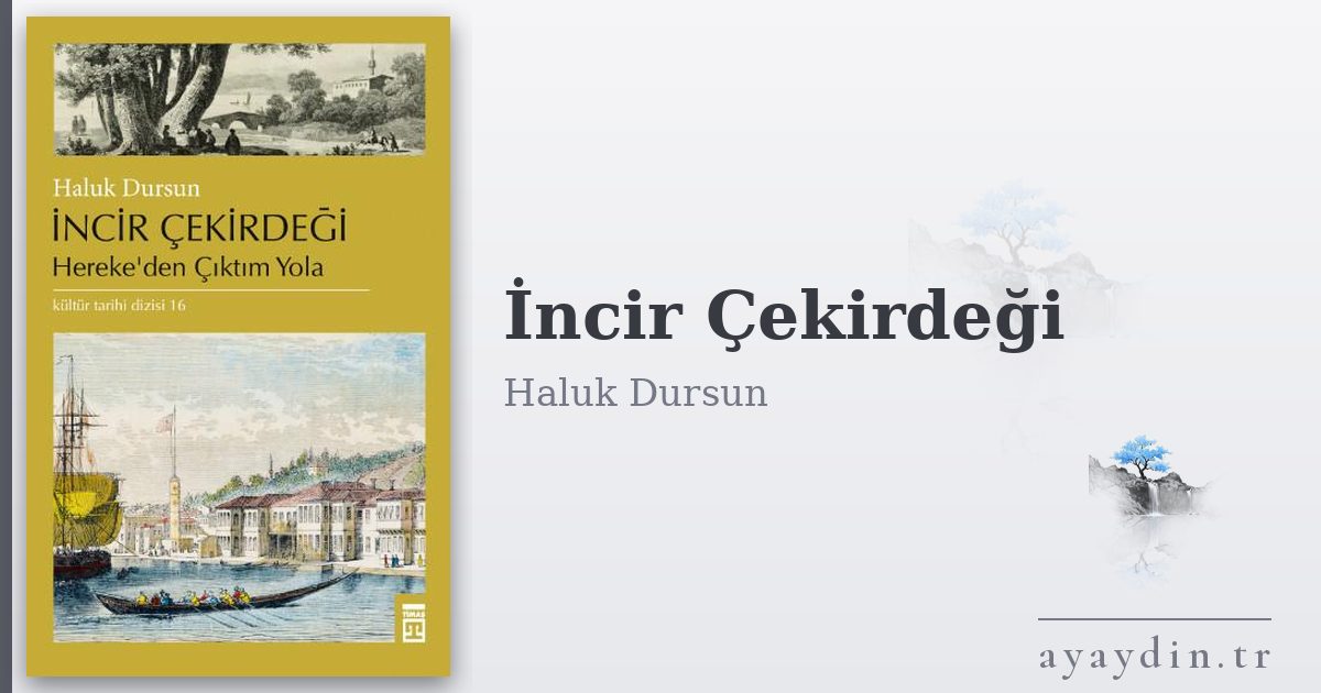 İncir Çekirdeği - Haluk Dursun kitap alıntıları ve sözleri