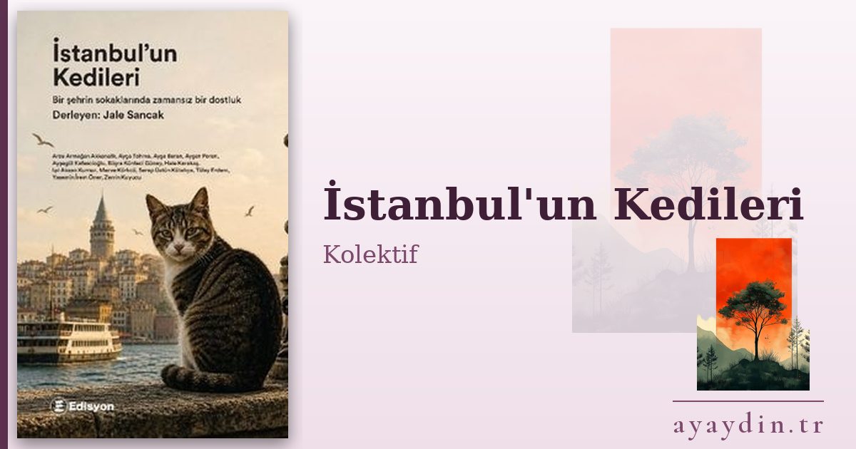 İstanbul'un Kedileri - Kolektif kitap alıntıları ve sözleri