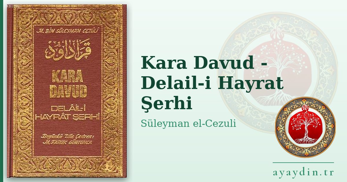 Kara Davud - Delail-i Hayrat Şerhi - Süleyman el-Cezuli kitap alıntıları ve sözleri