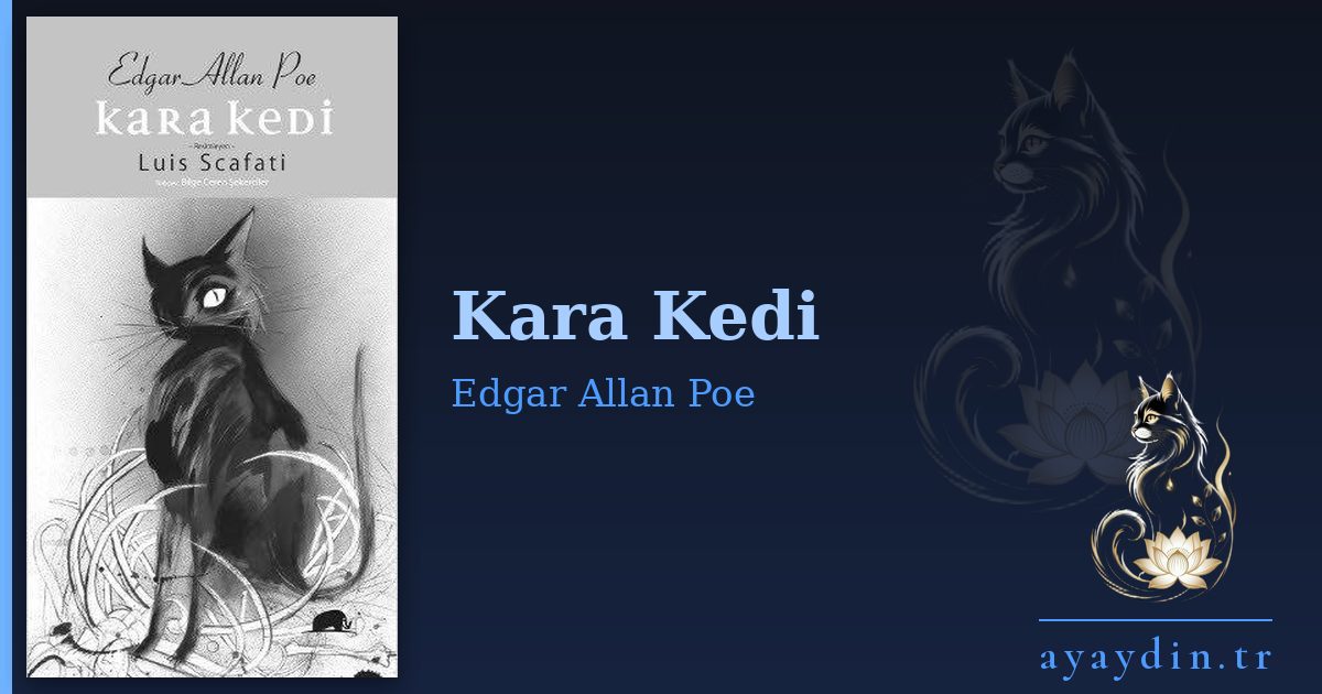 Kara Kedi - Edgar Allan Poe kitap alıntıları ve sözleri
