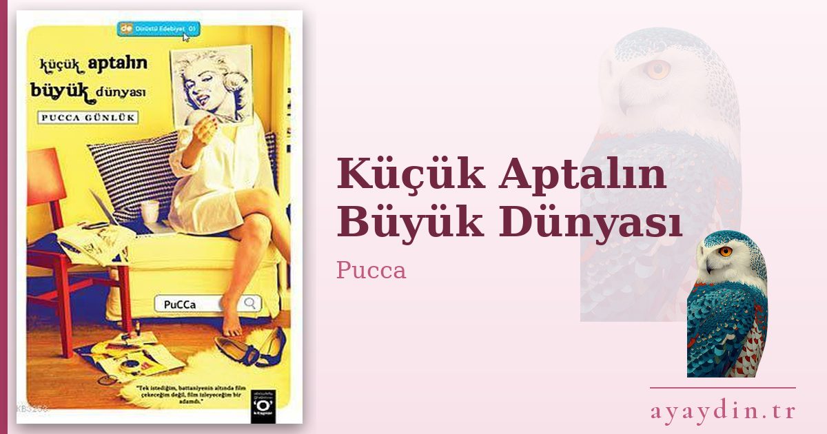 Küçük Aptalın Büyük Dünyası - Pucca kitap alıntıları ve sözleri