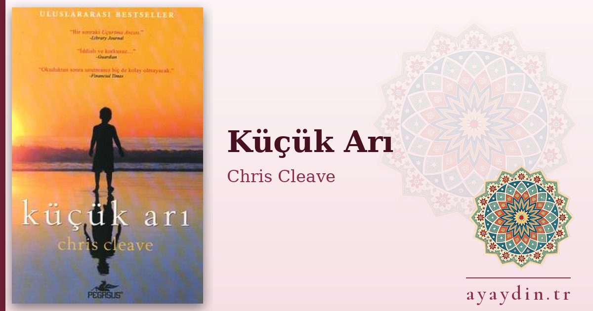 Küçük Arı - Chris Cleave kitap alıntıları ve sözleri