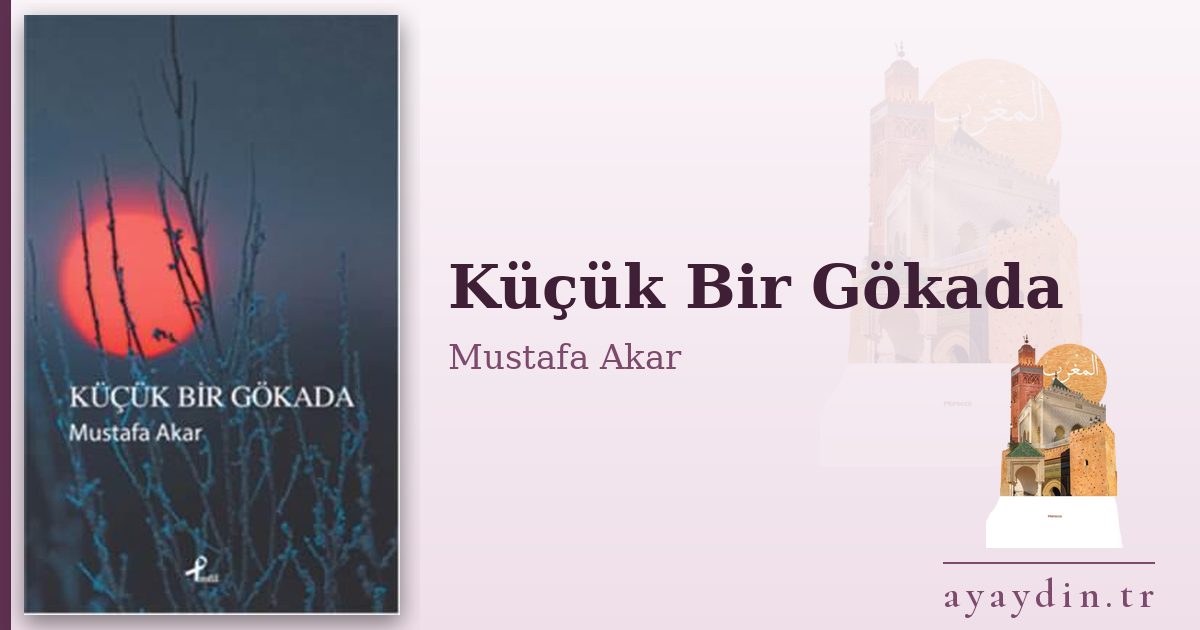 Küçük Bir Gökada - Mustafa Akar kitap alıntıları ve sözleri