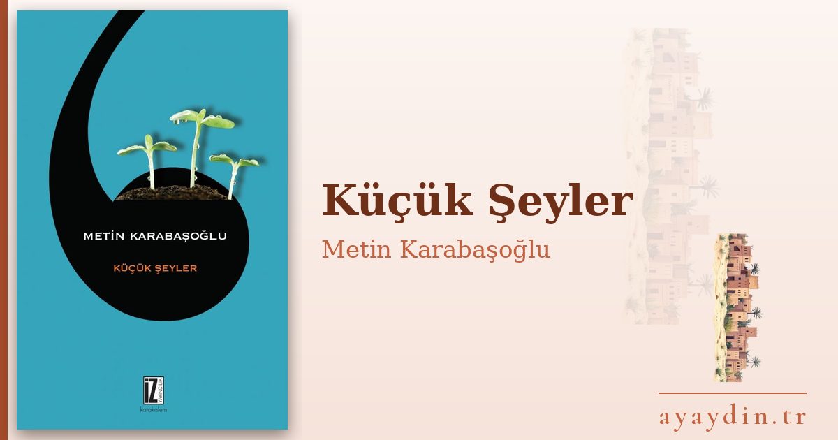 Küçük Şeyler - Metin Karabaşoğlu kitap alıntıları ve sözleri