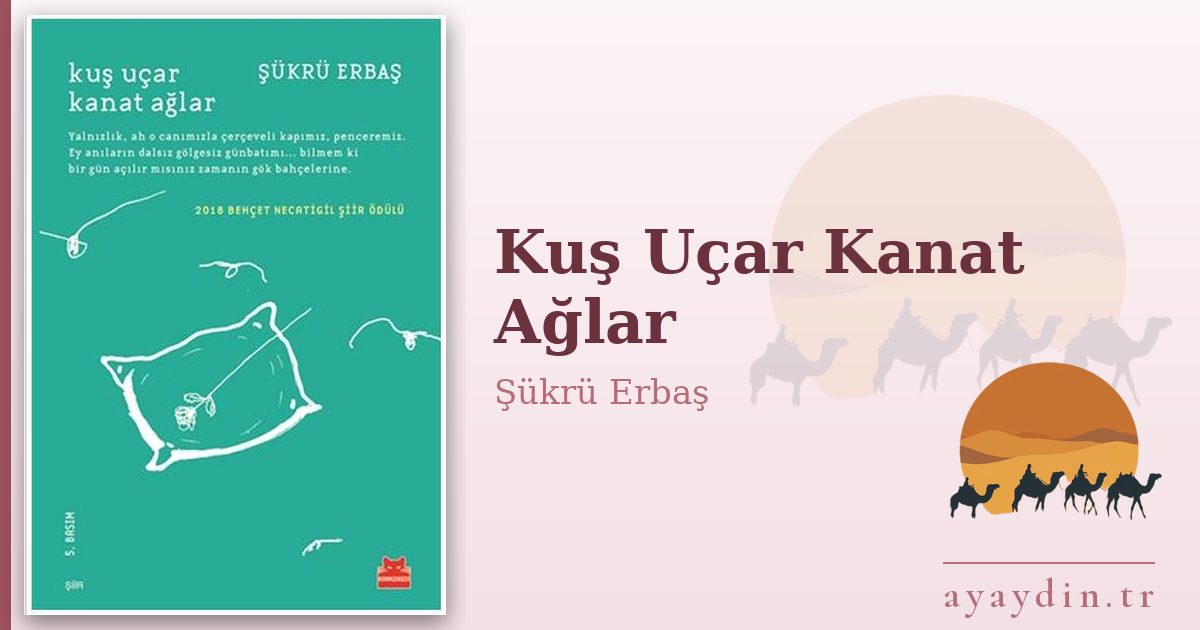 Kuş Uçar Kanat Ağlar - Şükrü Erbaş kitap alıntıları ve sözleri