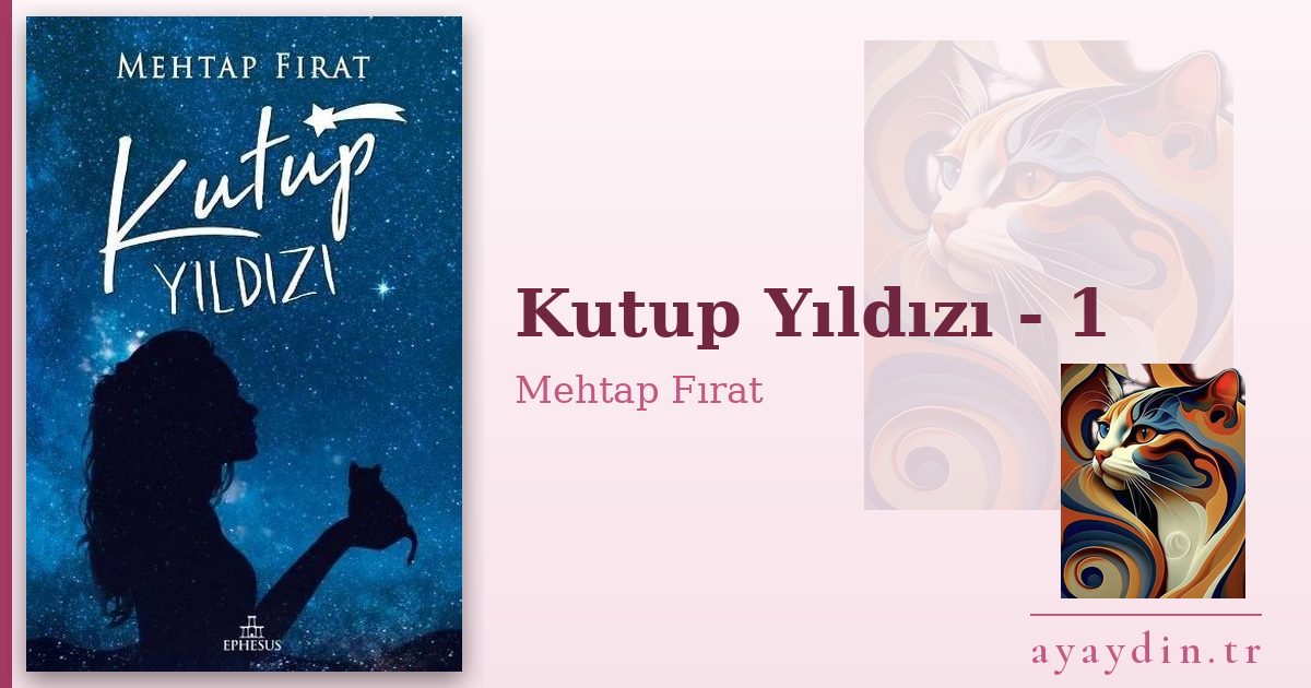 Kutup Yıldızı - 1 - Mehtap Fırat kitap alıntıları ve sözleri