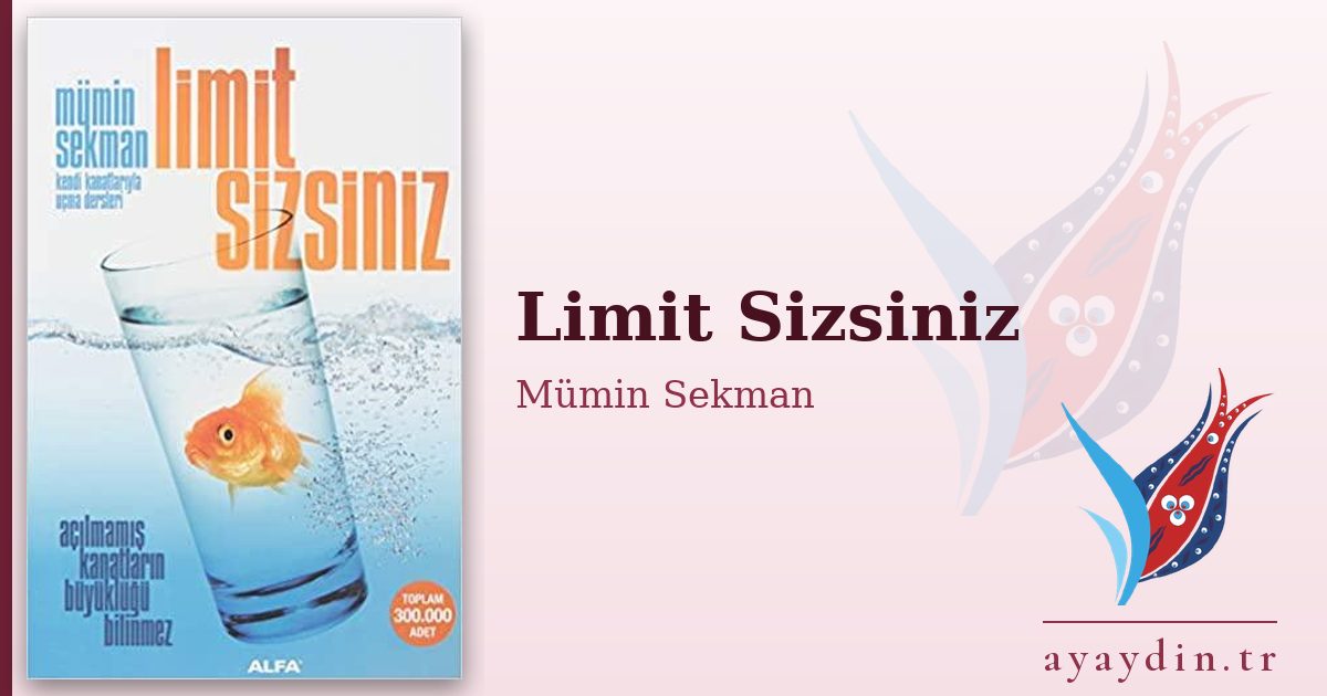 Limit Sizsiniz - Mümin Sekman kitap alıntıları ve sözleri