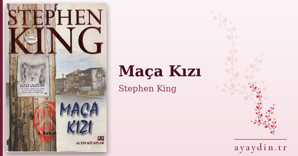 Maça Kızı - Stephen King kitap alıntıları ve sözleri