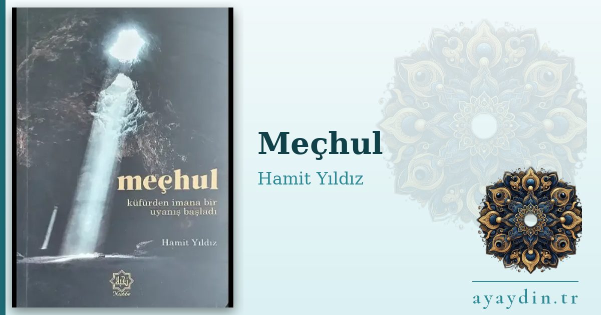 Meçhul - Hamit Yıldız kitap alıntıları ve sözleri