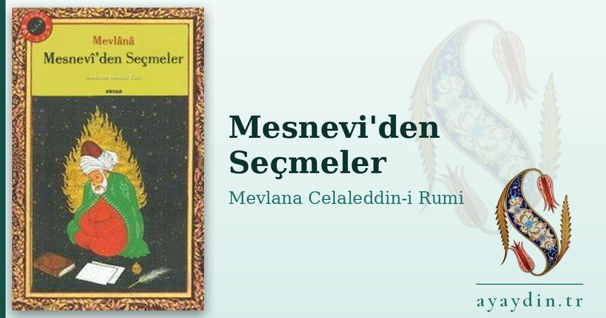 Mesnevi'den Seçmeler - Mevlana Celaleddin-i Rumi kitap alıntıları ve sözleri