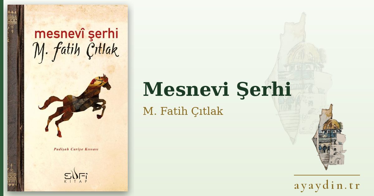 Mesnevi Şerhi - M. Fatih Çıtlak kitap alıntıları ve sözleri