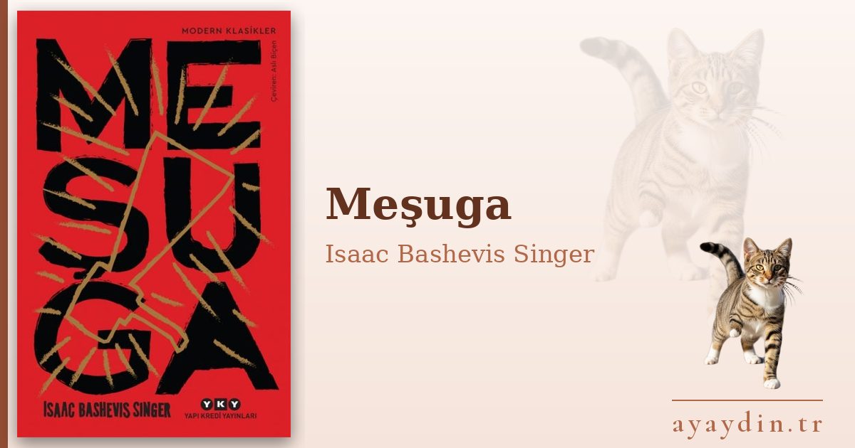 Meşuga - Isaac Bashevis Singer kitap alıntıları ve sözleri