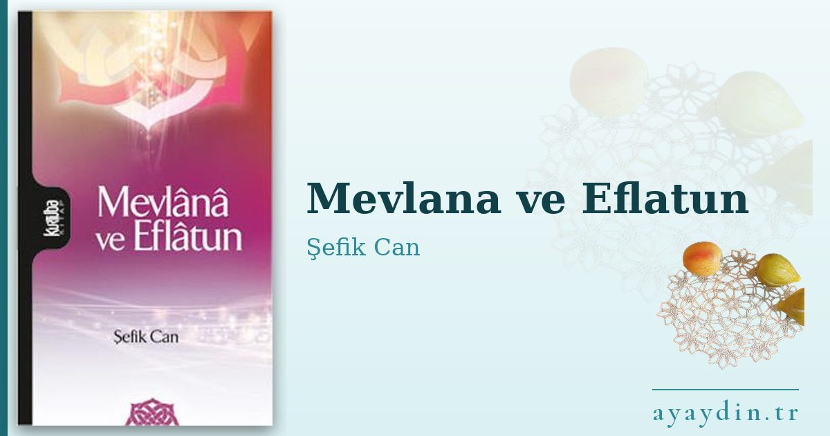 Mevlana ve Eflatun - Şefik Can kitap alıntıları ve sözleri