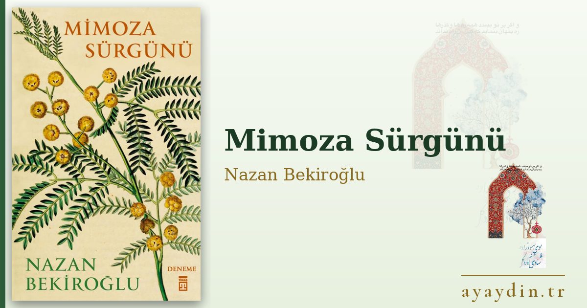Mimoza Sürgünü - Nazan Bekiroğlu kitap alıntıları ve sözleri