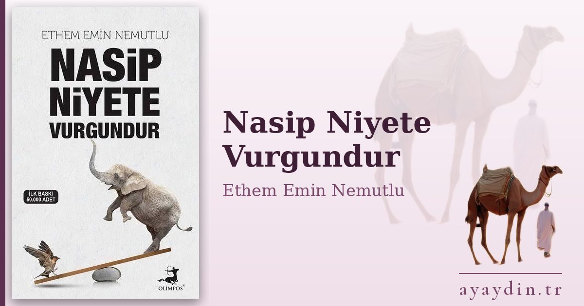 Nasip Niyete Vurgundur - Ethem Emin Nemutlu kitap alıntıları ve sözleri