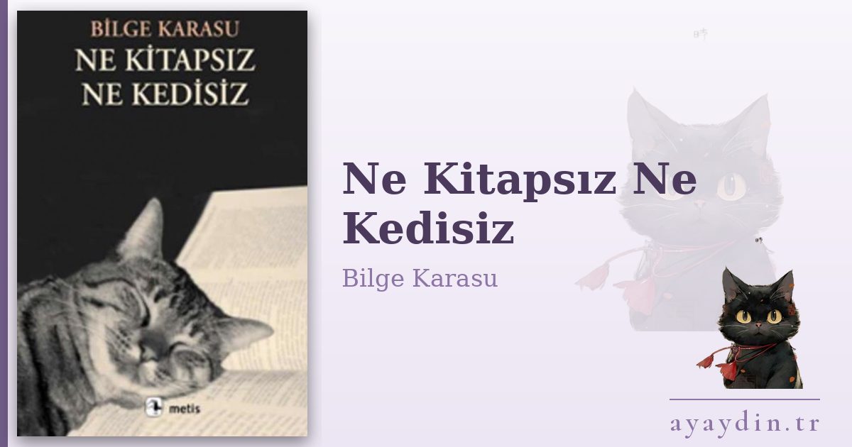 Ne Kitapsız Ne Kedisiz - Bilge Karasu kitap alıntıları ve sözleri