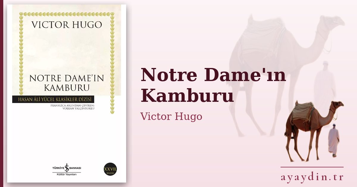 Notre Dame'ın Kamburu - Victor Hugo kitap alıntıları ve sözleri