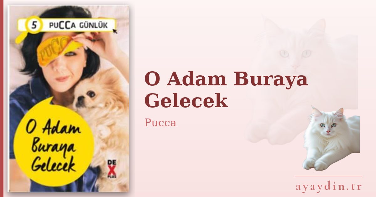 O Adam Buraya Gelecek - Pucca kitap alıntıları ve sözleri