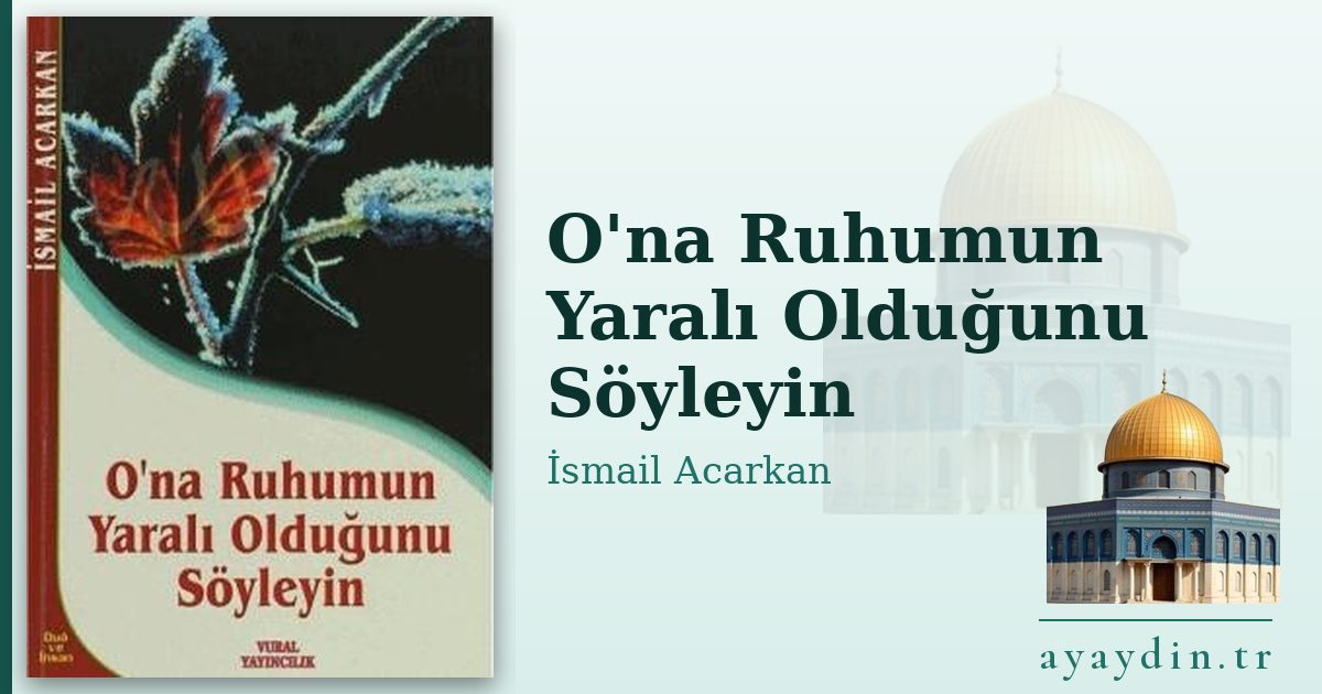 O'na Ruhumun Yaralı Olduğunu Söyleyin - İsmail Acarkan kitap alıntıları ve sözleri