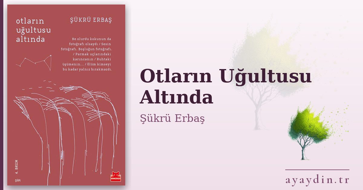 Otların Uğultusu Altında - Şükrü Erbaş kitap alıntıları ve sözleri