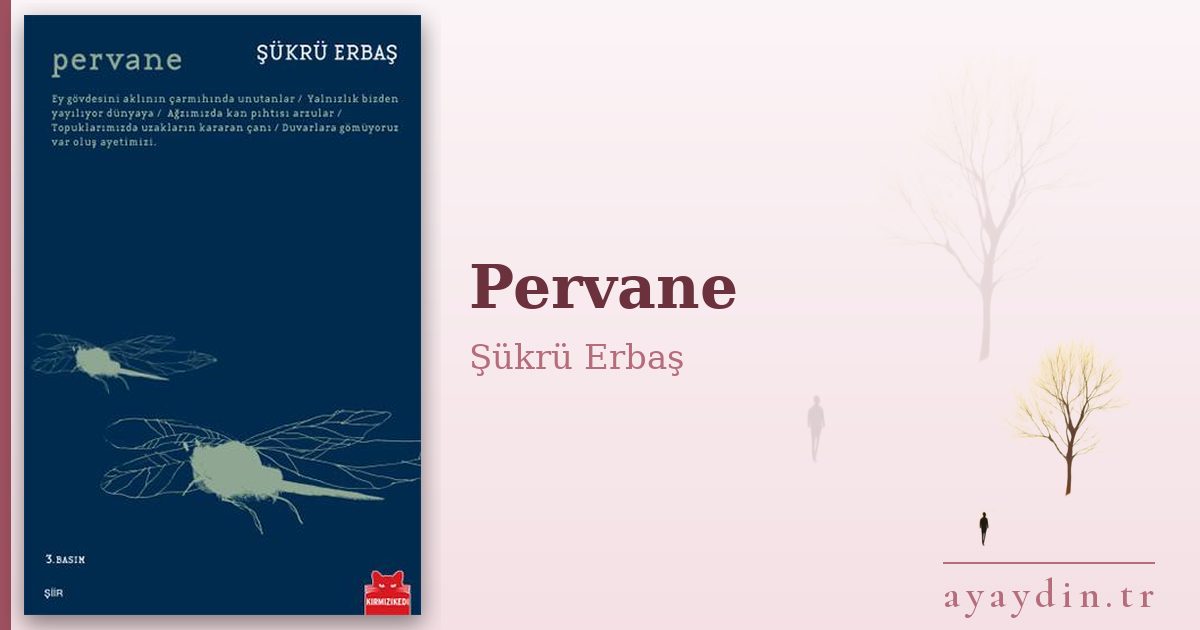 Pervane - Şükrü Erbaş kitap alıntıları ve sözleri