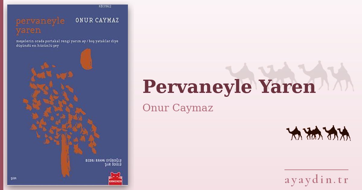 Pervaneyle Yaren - Onur Caymaz kitap alıntıları ve sözleri