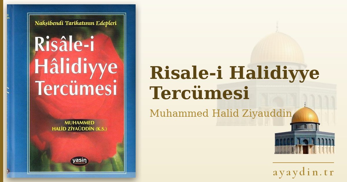 Risale-i Halidiyye Tercümesi - Muhammed Halid Ziyauddin kitap alıntıları ve sözleri