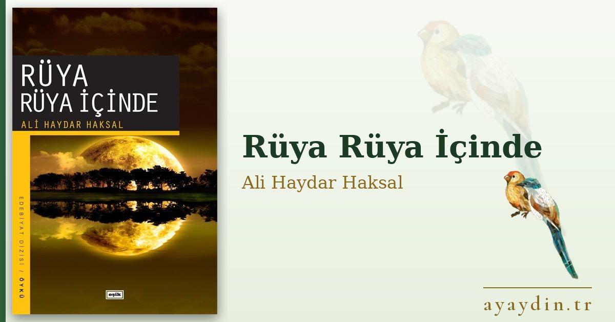 Rüya Rüya İçinde - Ali Haydar Haksal kitap alıntıları ve sözleri