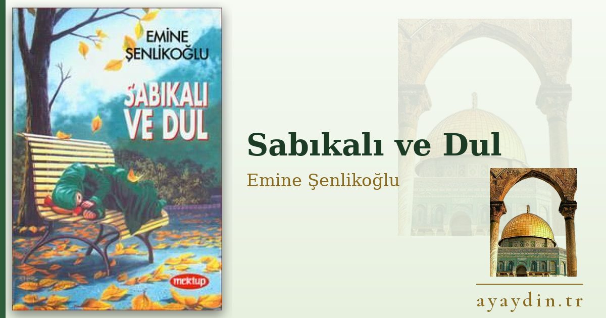 Sabıkalı ve Dul - Emine Şenlikoğlu kitap alıntıları ve sözleri