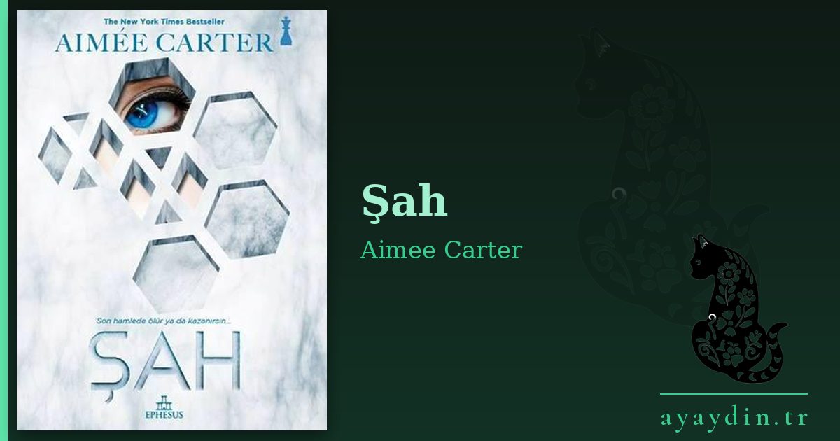 Şah - Aimee Carter kitap alıntıları ve sözleri