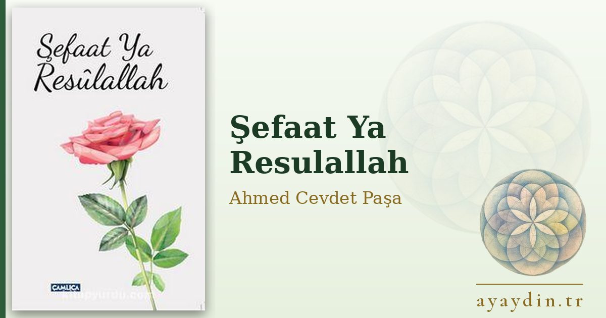 Şefaat Ya Resulallah - Ahmed Cevdet Paşa kitap alıntıları ve sözleri