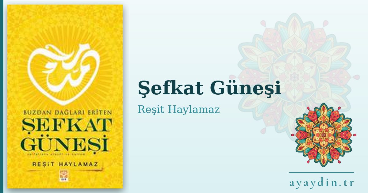 Şefkat Güneşi - Reşit Haylamaz kitap alıntıları ve sözleri
