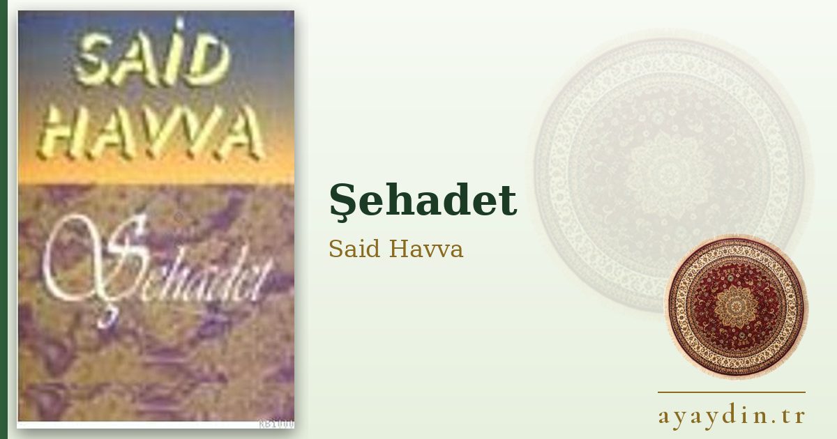 Şehadet - Said Havva kitap alıntıları ve sözleri