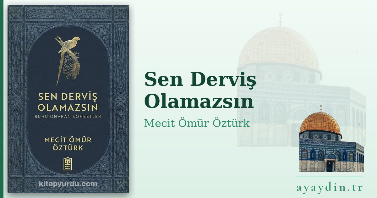 Sen Derviş Olamazsın - Mecit Ömür Öztürk kitap alıntıları ve sözleri