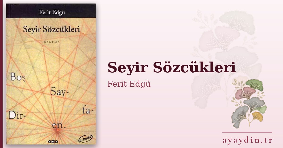 Seyir Sözcükleri - Ferit Edgü kitap alıntıları ve sözleri
