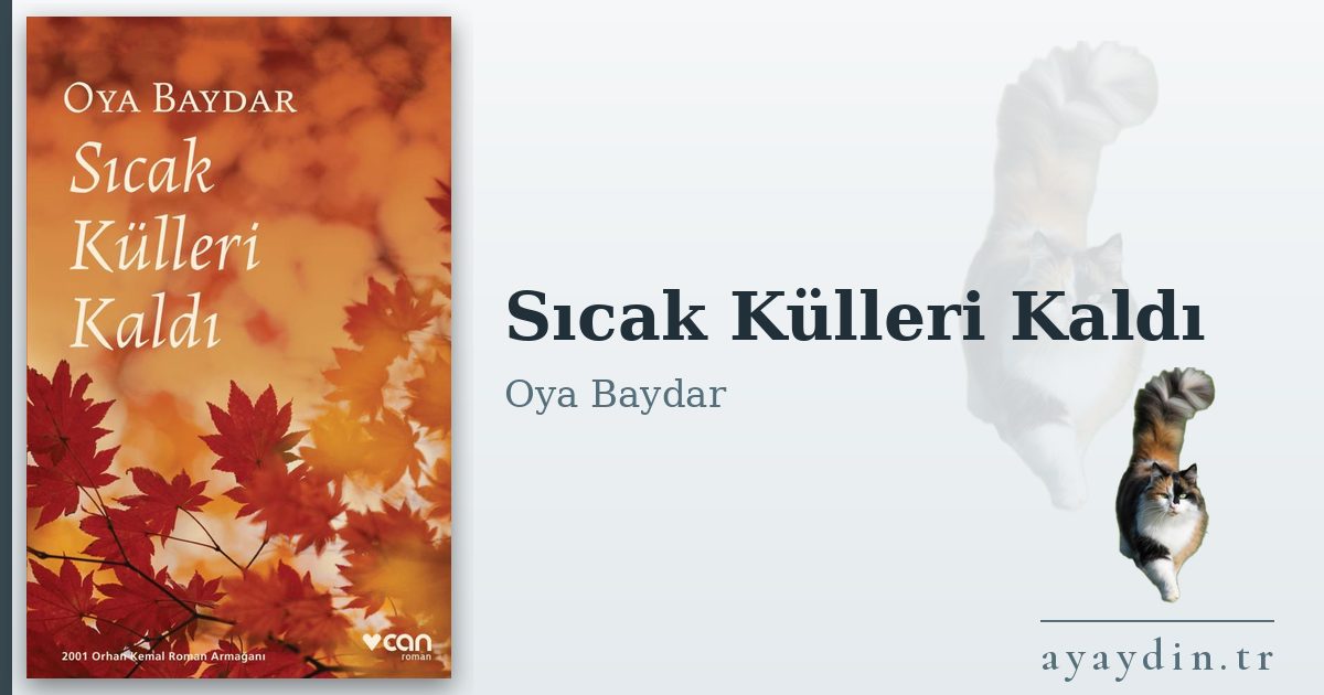 Sıcak Külleri Kaldı - Oya Baydar kitap alıntıları ve sözleri
