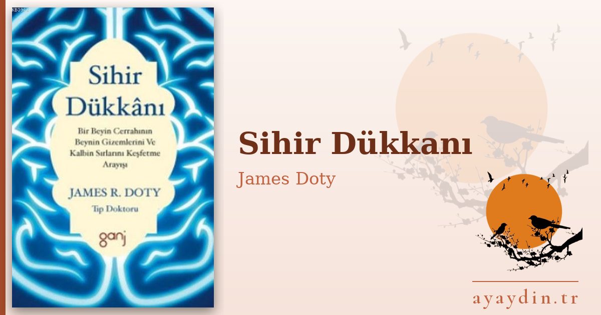 Sihir Dükkanı - James Doty kitap alıntıları ve sözleri