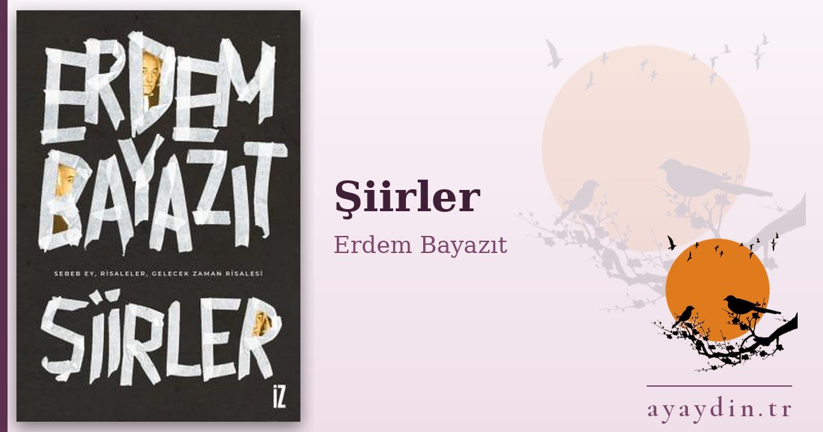 Şiirler - Erdem Bayazıt kitap alıntıları ve sözleri