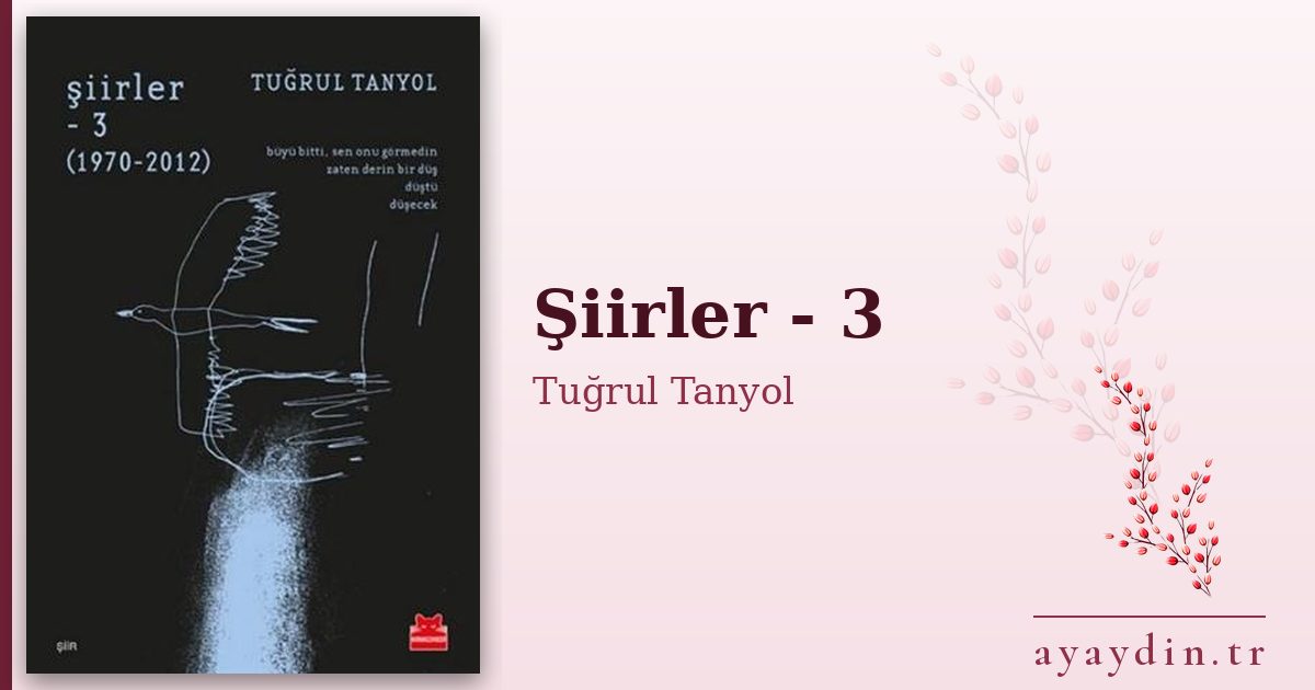 Şiirler - 3 - Tuğrul Tanyol kitap alıntıları ve sözleri